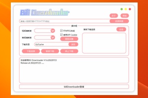 BiliBili Media Downloader：可视化B站视频专用下载器（支持交互视频下载）