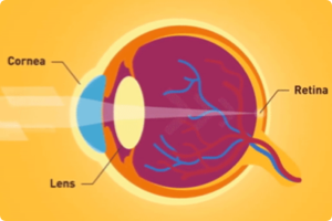不近视≠视力好！儿童视力的一些常识&科普！验光单/原理/参考数据等