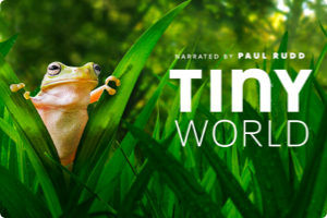 [阿里云盘]小小世界 Tiny World 全2季4K超高清，动物们的微观世界，神奇的大自然