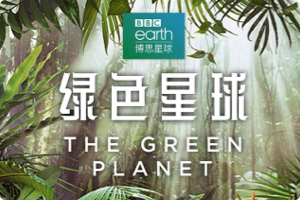 [记录片]绿色星球 The Green Planet ：带你从植物的角度看世界，豆瓣9.7