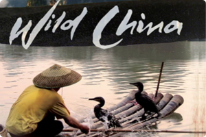 [记录片]Wild China 美丽中国：BBC镜头下熟悉又陌生的美丽中国 ，人文地理，豆瓣9.3