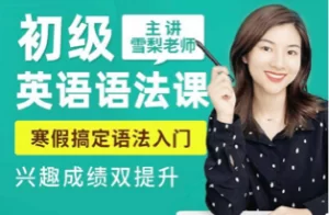 【 雪梨 】 初级英语语法 | 视频教学课程
