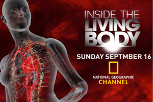 [记录片]豆瓣9.3分，人体内旅行 Inside the Living Body 英语中字 显微镜下的人体内部