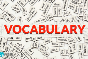 太强大！数千本各类单词词库大全，用于Anki词库制作、字帖生成、单词背诵等