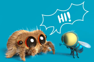 lucas the spider，一个短小精悍好玩有趣略显呆萌的英文启蒙动画频道