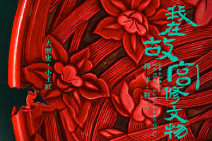 我在故宫修文物 (2016) 高分纪录片 1080p 国语中字