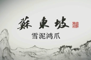 苏东坡 (2017) 高分纪录片 1080p 国语中字  记录旷世全才的一生