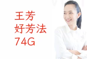 王芳《好芳法》大语文合集74G