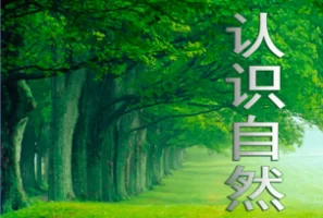 洋葱学院·认识自然，教会孩子观察和记录大自然