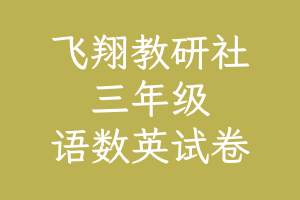 飞翔教研社：三年级语文数学英语上册 期中、期末、周周练试卷，含答案