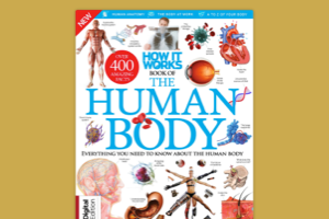 How It Works《Book Of The Human Body》 20th Edition 2023 英文原版，探索人类身体的奥秘