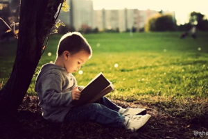 一些孩子的课外读物，快乐读书吧、当季美文、国学经典、各版本名著、年级阅读、传统文化读本等