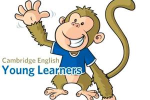 剑桥少儿英语 一级+二级+三级 学而思课程