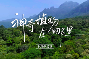 北京市重点中学生物老师吴昌宇《神奇植物在哪里？》 解密植物的奥秘，植物入门