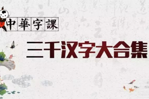 中华字课——3000汉字大合集,180部汉字字根动画,涵盖3000常用字,形象生动