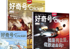 《好奇号》杂志2023年全集【PDF】【6.4GB】