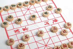 庞瑞德：中国象棋入门篇5DVD