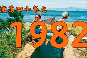 大象放映室：激荡四十年（1978～2002），视频版改革开放编年史