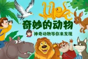 中国古动物馆《奇妙的动物》全系列，涵盖生物学、地理学、古生物学、物理学等多学科