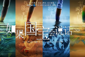 豆瓣9.4分纪录片 《如果国宝会说话》1～4季全