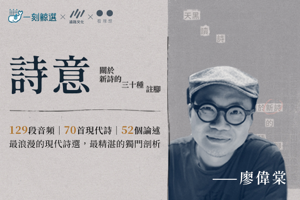 廖伟棠《诗意：关于新诗的十三种注脚》