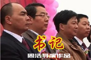 纪录片《书记》县委书记调任前三个月实拍，中国官场生态记录