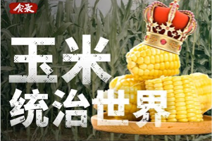 赛博食录：舌尖上的食物史和食物百科科普