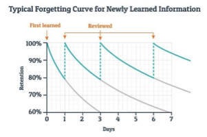 艾宾浩斯遗忘曲线计划表格&康奈尔笔记等可打印版