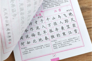 《小学文言文与古诗词教辅与字帖大全》