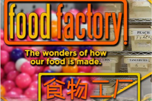 纪录片《food factory 食品工厂》第二季 2013  介绍食品工业生产线上的全过程