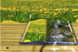 语文阅读理解怎么提分?谈谈我的看法