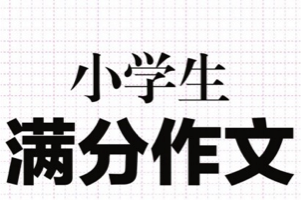 学而思及主流品牌小学作文全体系课程合集共19套