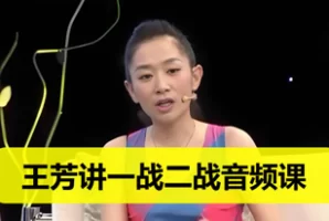 王芳讲一战二战音频课